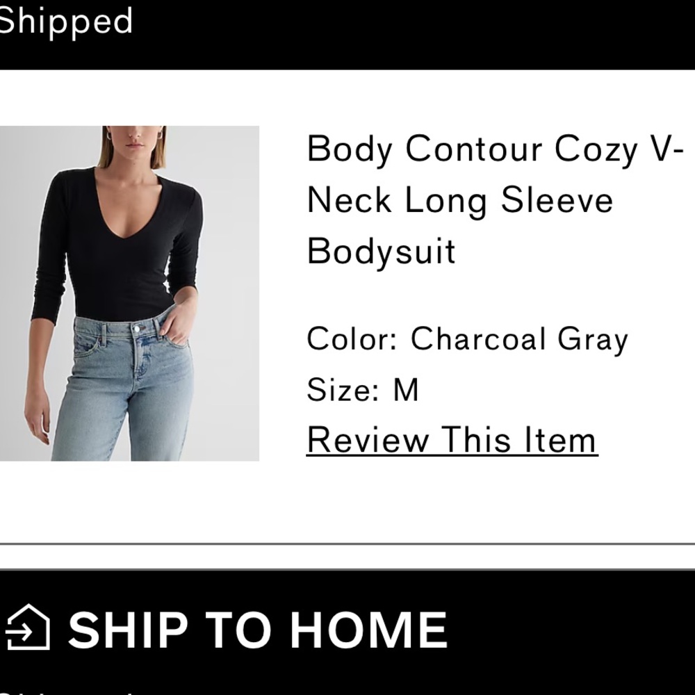 Express Charcoal Deep V Fitted Bodysuit